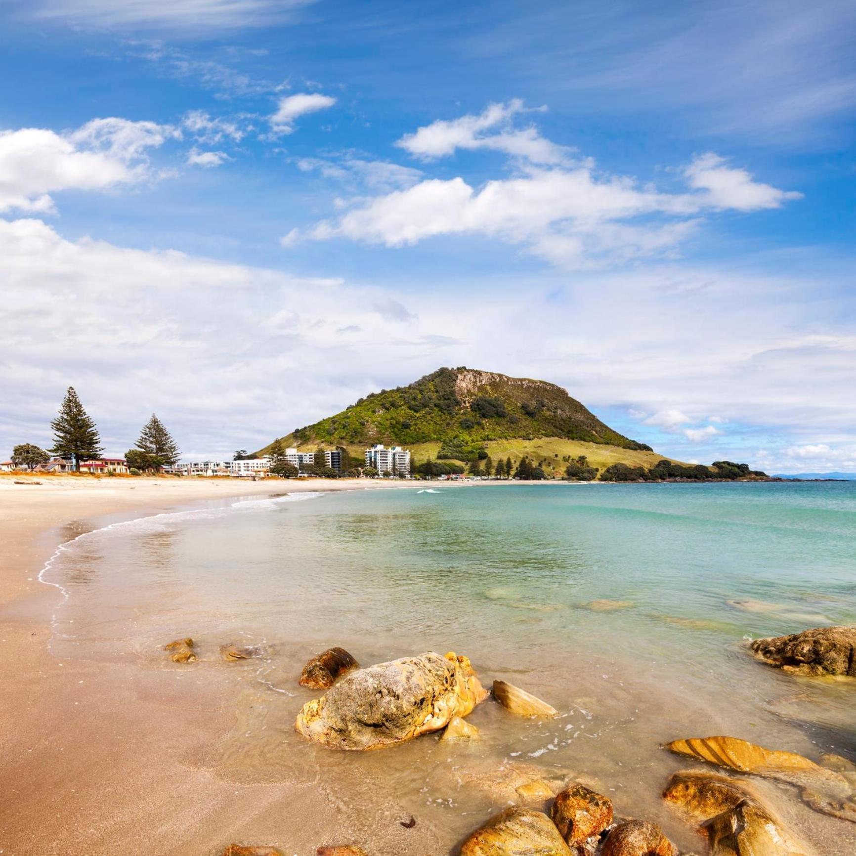 Sunny And Spacious - Moments From The Beach And Downtown Mount Maunganui Exterior foto